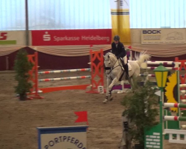 Reitturnier Eppelheim 2018