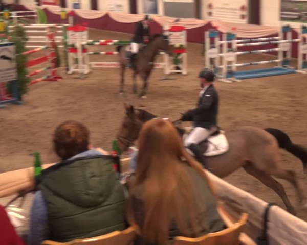 Reitturnier Eppelheim 2018