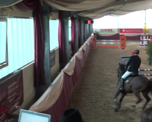 Reitturnier Eppelheim 2018