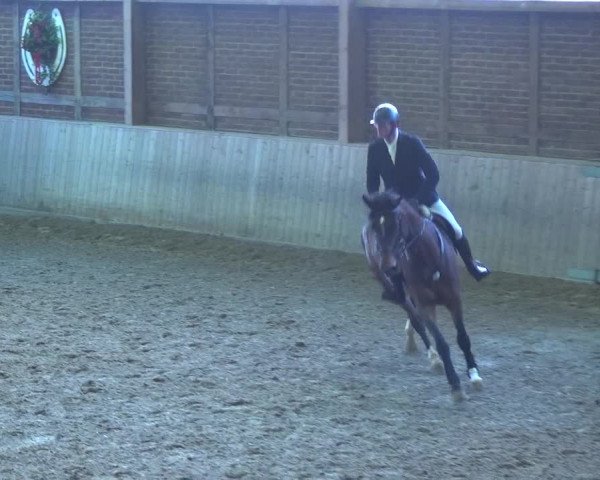 Reitturnier Köln-Leverkusen 2018