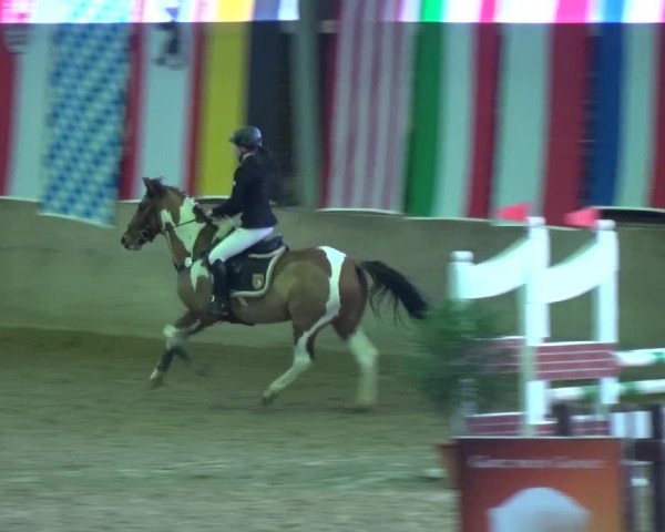 Reitturnier Köln-Leverkusen 2018