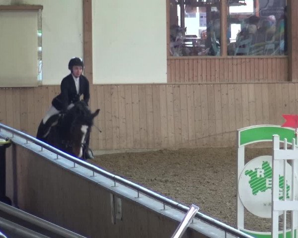 Reitturnier Köln-Leverkusen 2018