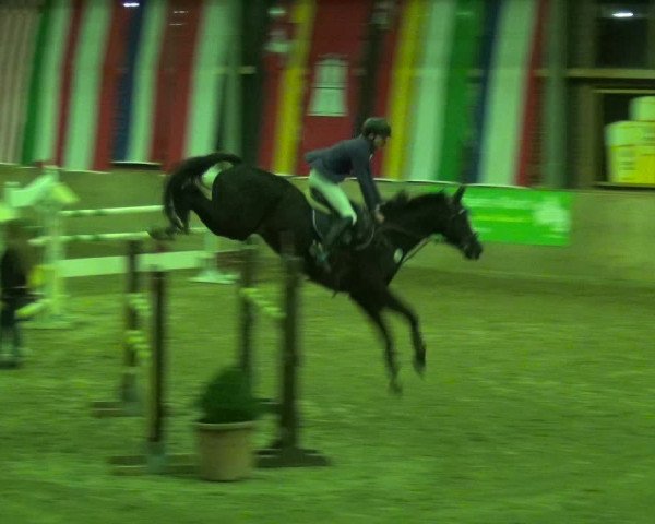Reitturnier Köln-Leverkusen 2018