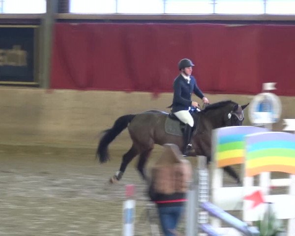 Reitturnier Köln-Leverkusen 2018
