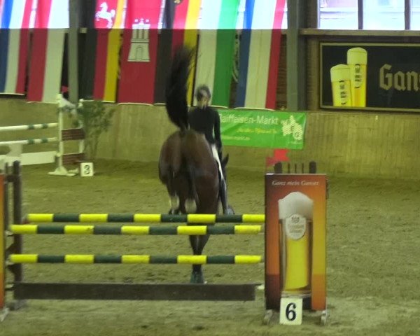Reitturnier Köln-Leverkusen 2018