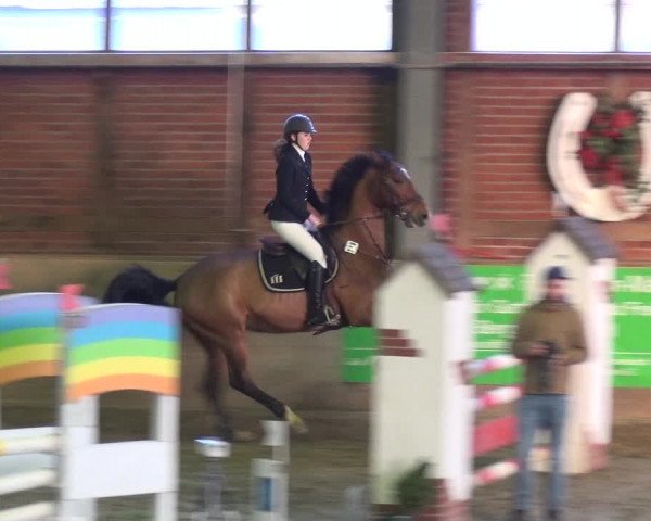 Reitturnier Köln-Leverkusen 2018