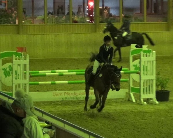 Reitturnier Köln-Leverkusen 2018
