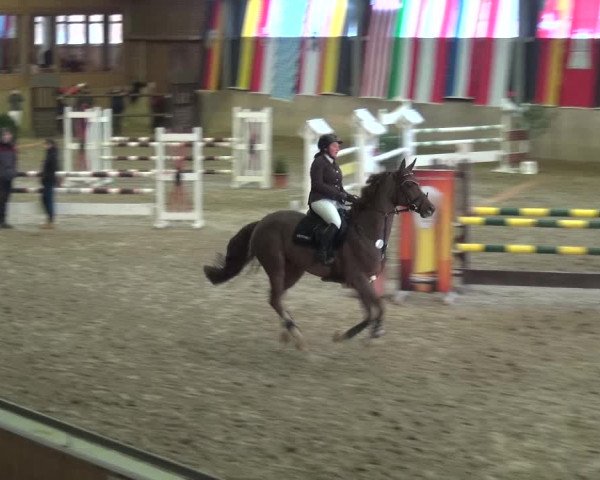 Reitturnier Köln-Leverkusen 2018