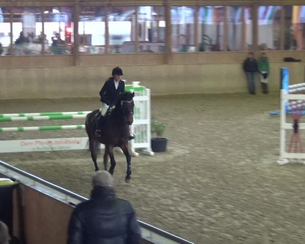 Reitturnier Köln-Leverkusen 2018