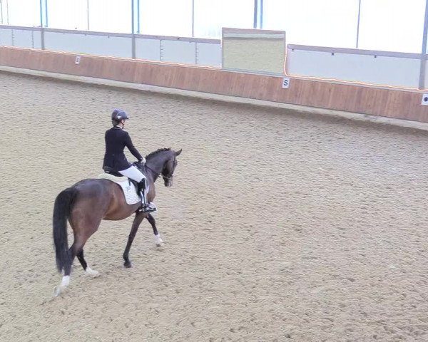 Reitturnier Südlohn-Oeding 2018