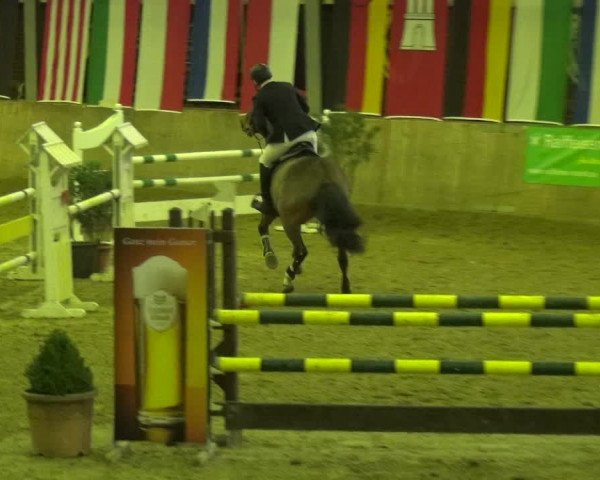 Reitturnier Köln-Leverkusen 2018