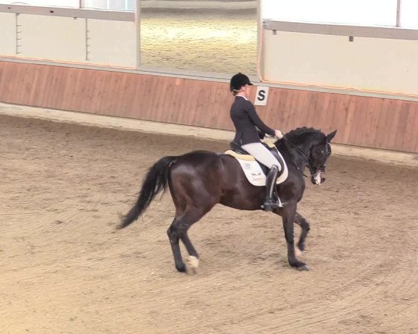 Reitturnier Südlohn-Oeding 2018