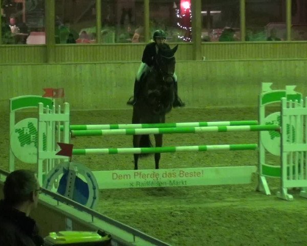 Reitturnier Köln-Leverkusen 2018