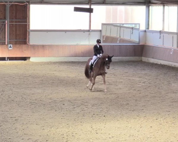 Reitturnier Südlohn-Oeding 2018