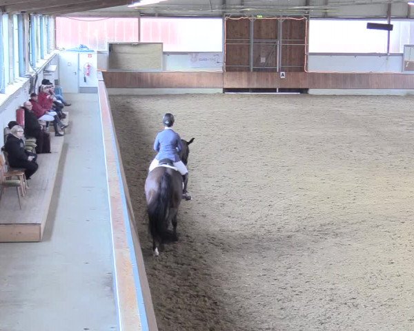 Reitturnier Südlohn-Oeding 2018