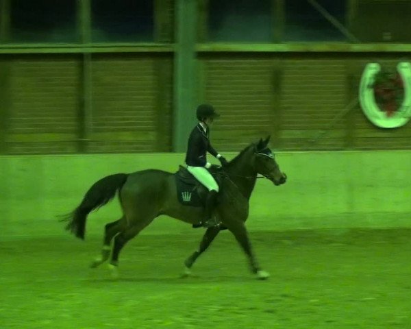 Reitturnier Köln-Leverkusen 2018