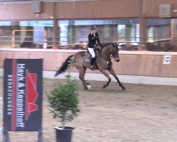 Reitturnier Südlohn-Oeding 2018