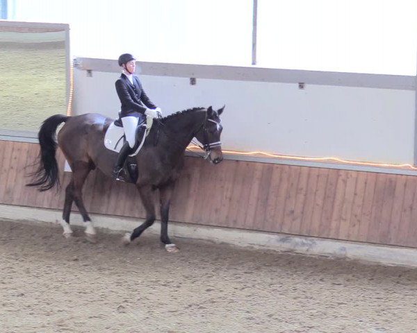 Reitturnier Südlohn-Oeding 2018