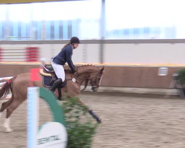 Reitturnier Südlohn-Oeding 2018