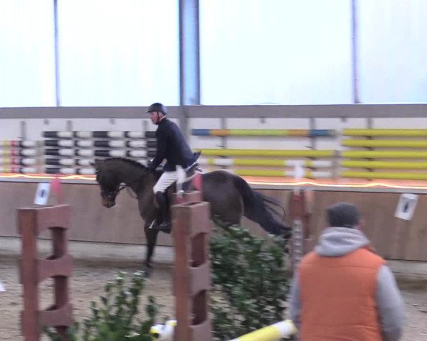 Reitturnier Südlohn-Oeding 2018