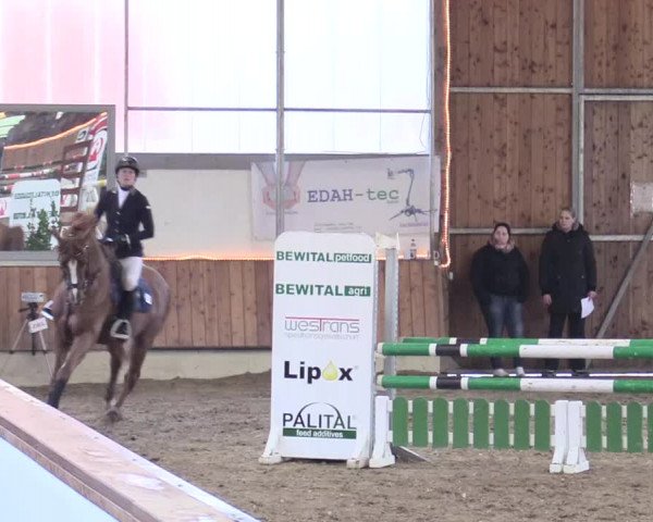 Reitturnier Südlohn-Oeding 2018