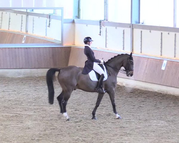 Reitturnier Südlohn-Oeding 2018