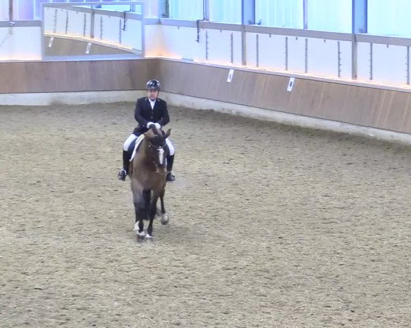 Reitturnier Südlohn-Oeding 2018