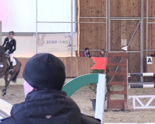 Reitturnier Südlohn-Oeding 2018