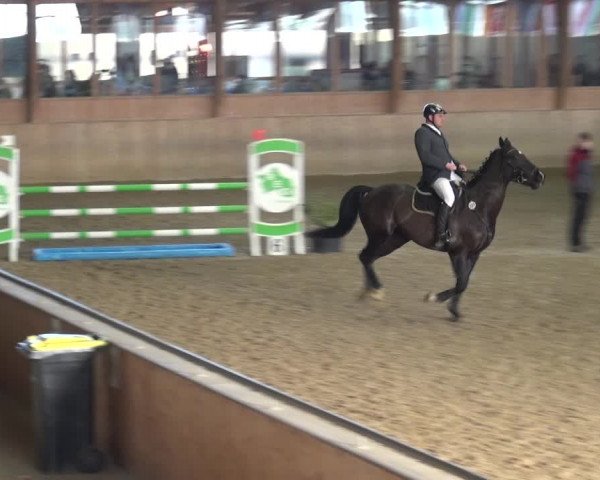 Reitturnier Köln-Leverkusen 2018