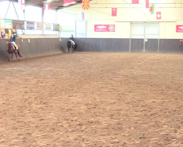 Reitturnier St. Peter Ording 2021