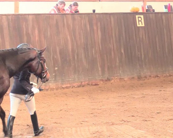 Reitturnier St. Peter Ording 2021