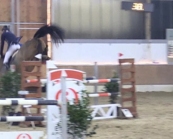 Reitturnier Südlohn-Oeding 2018