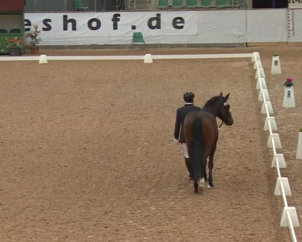 Reitturnier Kreuth 2018