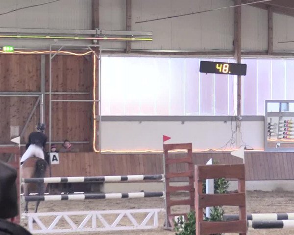Reitturnier Südlohn-Oeding 2018
