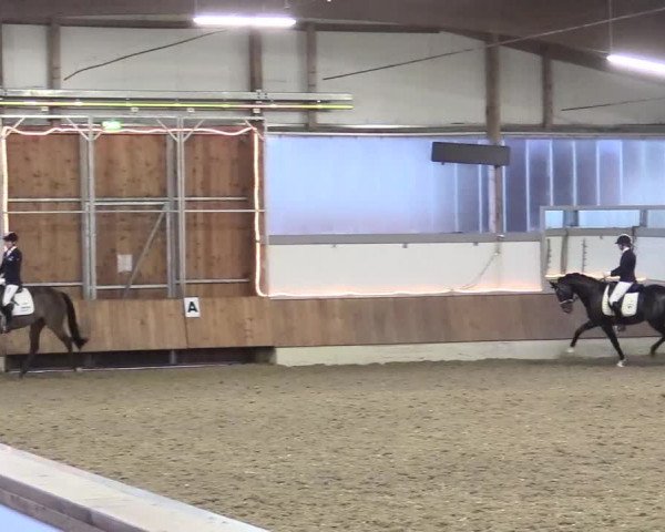 Reitturnier Südlohn-Oeding 2018