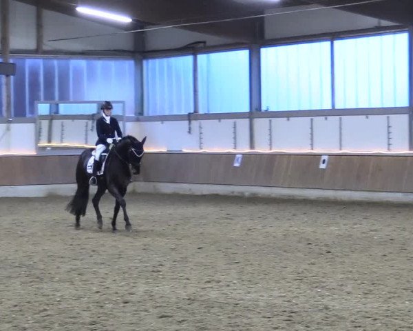 Reitturnier Südlohn-Oeding 2018