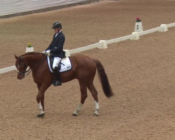 Reitturnier Kreuth 2018