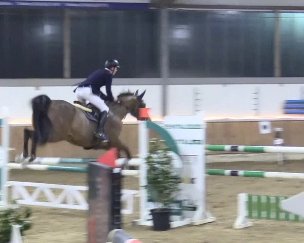 Reitturnier Südlohn-Oeding 2018
