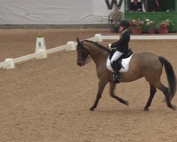 Reitturnier Kreuth 2018