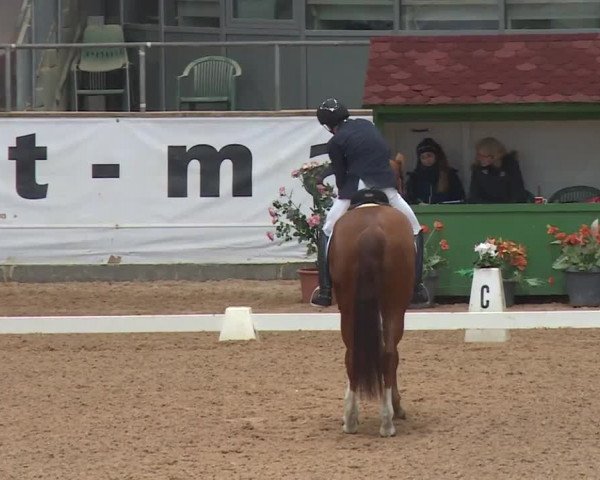 Reitturnier Kreuth 2018