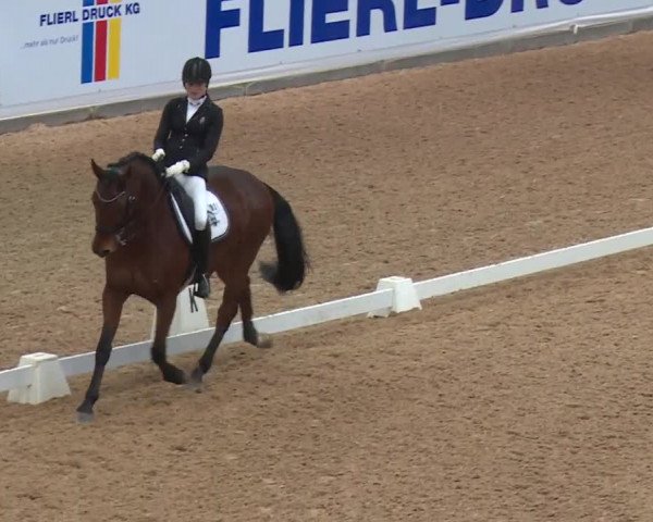 Reitturnier Kreuth 2018