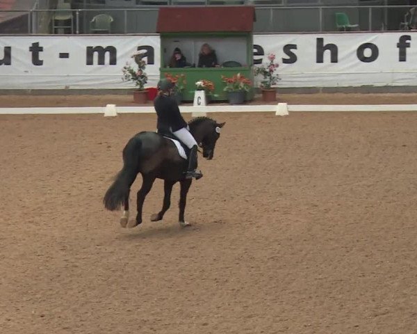 Reitturnier Kreuth 2018