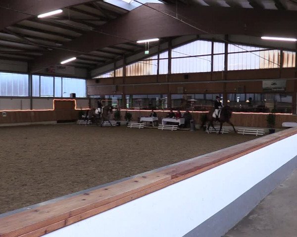 Reitturnier Südlohn-Oeding 2018