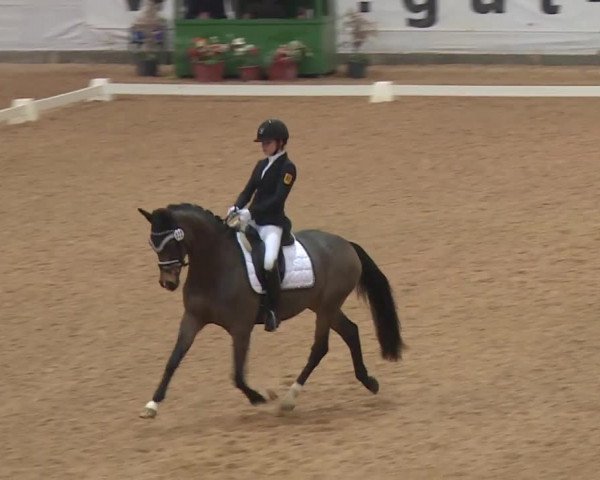Reitturnier Kreuth 2018
