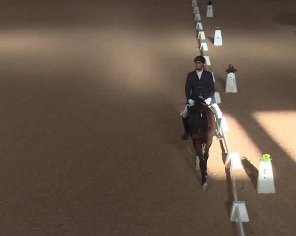 Reitturnier Kreuth 2018
