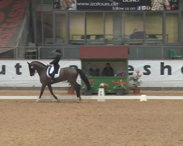 Reitturnier Kreuth 2018