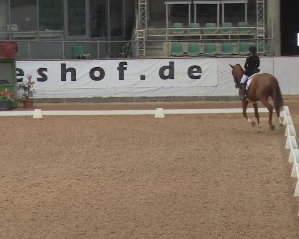 Reitturnier Kreuth 2018