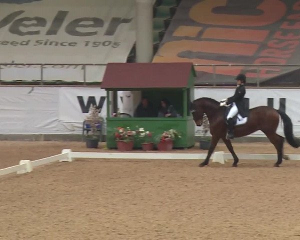 Reitturnier Kreuth 2018