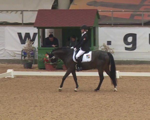 Reitturnier Kreuth 2018