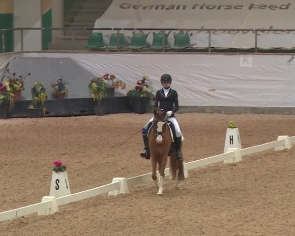Reitturnier Kreuth 2018